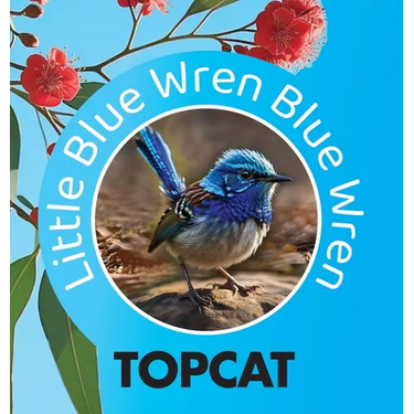 Little Blue Wren Blue Wren