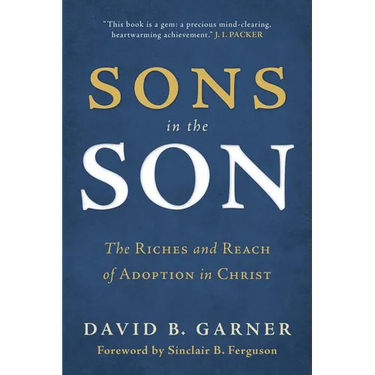 Sons in the Son: The Riches and Reach of Adoption in Christ