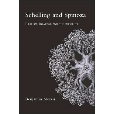 Schelling and Spinoza: Realism, Idealism, and the Absolute