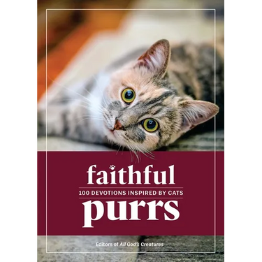 Faithful Purrs: 100 Devotions Inspired by Cats