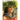 Princess Liliokalani Does Not Believe in Racism and Hate Crimes Because She is Colorblind