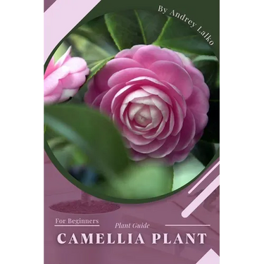 Camellia Plant: Prodigy Petal, Plant Guide