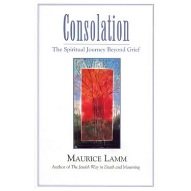 Consolation: The Spiritual Journey Beyond Grief