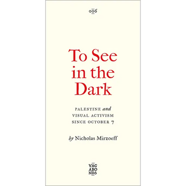 To See in the Dark: Palestine and Visual Activism Since October 7