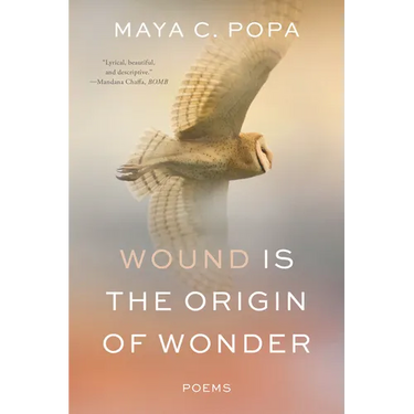 Wound Is the Origin of Wonder: Poems
