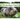 Potbellied Pigs