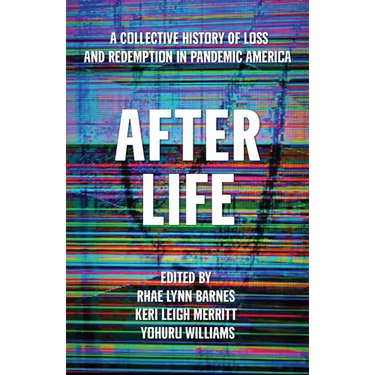 After Life: A Collective History of Loss and Redemption in Pandemic America