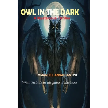 Owl in the Dark