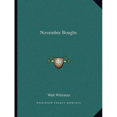 November Boughs