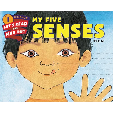 My Five Senses