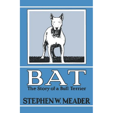 BAT, The Story of a Bull Terrier