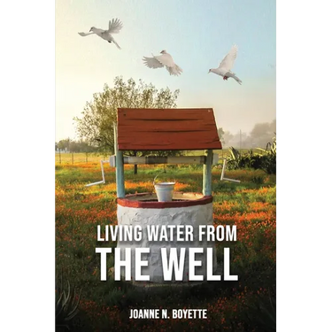 Living Water from the Well