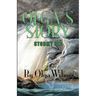 Olga's Story: Stormy Sea: Stormy Sea: Stormy Sea