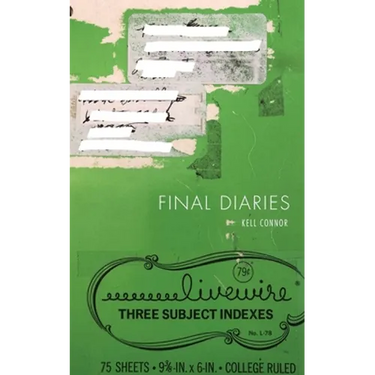 Final Diaries
