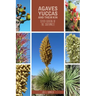 Agaves, Yuccas, and Their Kin: Seven Genera of the Southwest