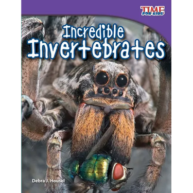 Incredible Invertebrates