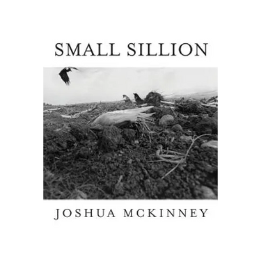 Small Sillion