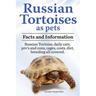 Russian Tortoises as Pets. Russian Tortoise facts and information. Russian tortoises daily care, pro's and cons, cages, diet, costs.: Facts and Inform