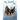 Fly, Eaglet, Fly!