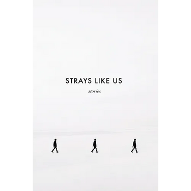 Strays Like Us