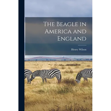 The Beagle in America and England