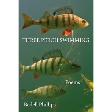 Three Perch Swimming