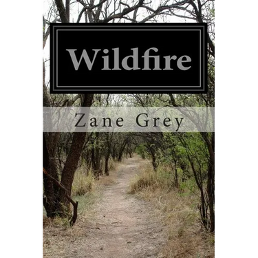 Wildfire