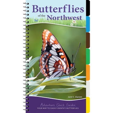 Butterflies of the Northwest: Your Way to Easily Identify Butterflies