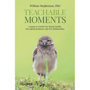 Teachable Moments: Lessons to Enrich Our Mental Health, Our Spiritual Journey and Our Relationships