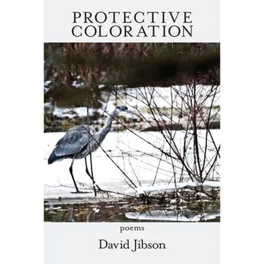 Protective Coloration
