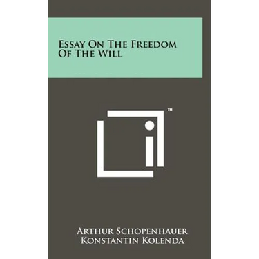 Essay On The Freedom Of The Will