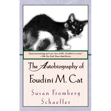The Autobiography of Foudini M. Cat