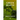 Green Beach