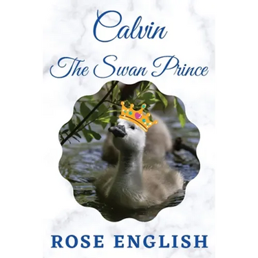 Calvin The Swan Prince
