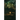 Night Terrors