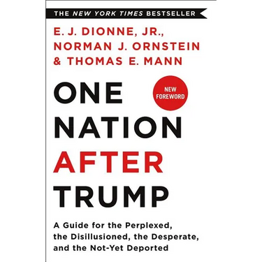 One Nation After Trump: A Guide for the Perplexed, the Disillusioned, the Desperate, and the Not-Yet Deported