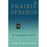 Prairie Springs: The unraveling of a small town