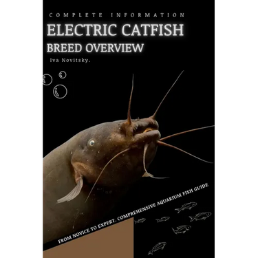 Electric Catfish: From Novice to Expert. Comprehensive Aquarium Fish Guide