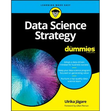 Data Science Strategy for Dummies