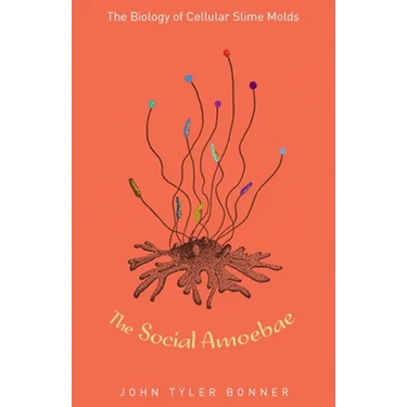 The Social Amoebae: The Biology of Cellular Slime Molds