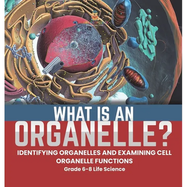 What is an Organelle? Identifying Organelles and Examining Cell Organelle Functions Grade 6-8 Life Science
