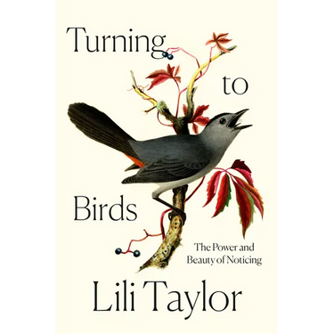Turning to Birds: The Power and Beauty of Noticing