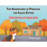 The Adventures of Precious, the Calico Kitten: Precious is Rescued