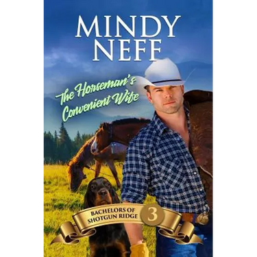 The Horseman's Convenient Wife: Small Town Contemporary Romance