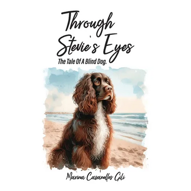 Through Stevie's eyes