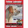 Yellow Labrador Training Book for Dogs and Puppies by BoneUp Dog Training: Are You Ready to Bone Up? Easy Steps * Fast Results Yellow Labrador Trainin