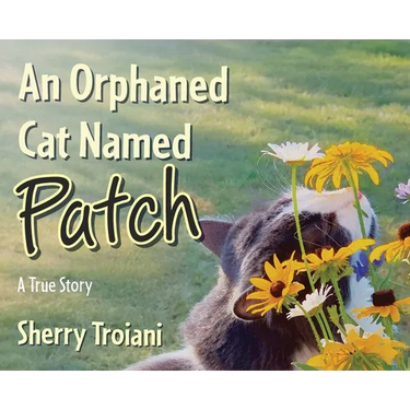 An Orphaned Cat Named Patch: A True Story