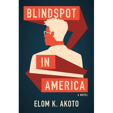 Blindspot in America