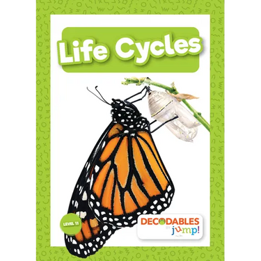 Life Cycles