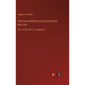 The Guns of Bull Run; A Story of the Civil War's Eve: The Civil War Series - in large print